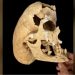 Ученые раскрыли тайну необычного черепа древнего воина из Испании