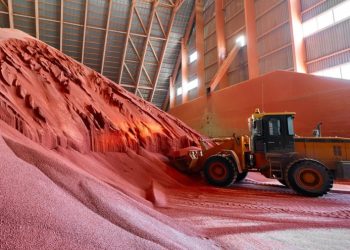 Урожай под защитой: как в России развивается производство агрохимии