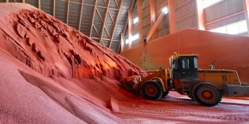 Урожай под защитой: как в России развивается производство агрохимии