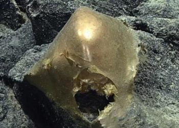 В США ученые нашли в океане на глубине 3300 метров загадочную золотую сферу