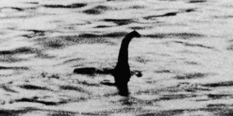 DM: официальные лица за год зафиксировали 5 встреч с Лох-несским чудовищем