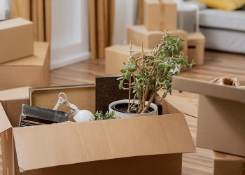 Долину выселили: как это отразится на судебной практике по таким делам