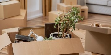 Долину выселили: как это отразится на судебной практике по таким делам