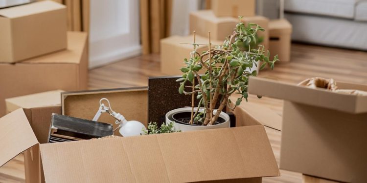 Долину выселили: как это отразится на судебной практике по таким делам