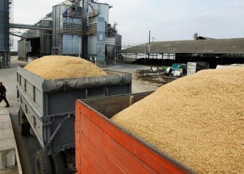 Экспорт каких товаров из России вырастет сильнее всего. Инфографика