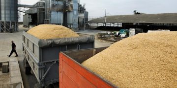 Экспорт каких товаров из России вырастет сильнее всего. Инфографика