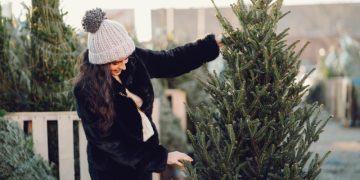 Как сохранить живую елку на Новый год: 5 советов в домашних условиях