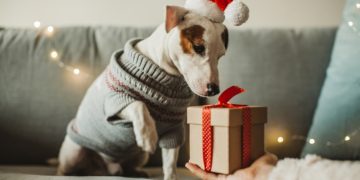 Как украсить дом к Новому году: 10 интересных идей