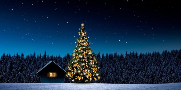 Крупные игрушки и гирлянды: как нарядить елку на участке