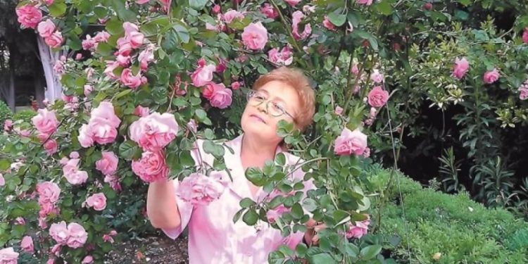 Крымские розы. Династия селекционеров Клименко вывела более 200 новых сортов