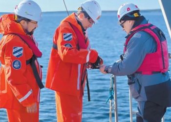 По маршруту Дерюгина. Экосистема Белого моря за 100 лет не изменилась