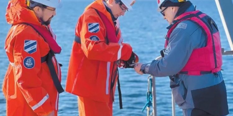 По маршруту Дерюгина. Экосистема Белого моря за 100 лет не изменилась