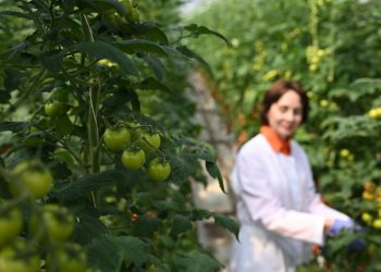 Правительство определило, кто получит льготу по страховым взносам