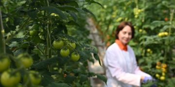 Правительство определило, кто получит льготу по страховым взносам