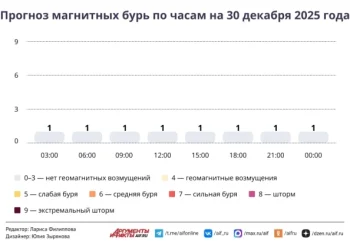 Прогноз магнитных бурь по часам на 30 декабря 2025 года. Инфографика