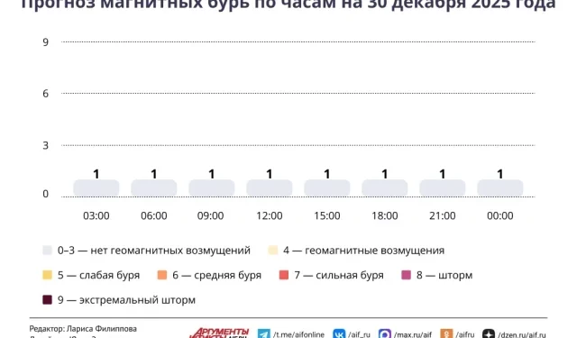 Прогноз магнитных бурь по часам на 30 декабря 2025 года. Инфографика
