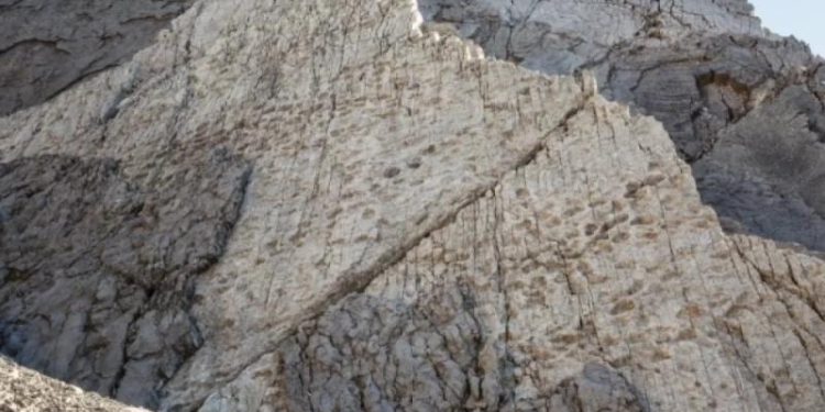 Тысячи следов динозавров обнаружили возле площадки Олимпийских игр в Италии