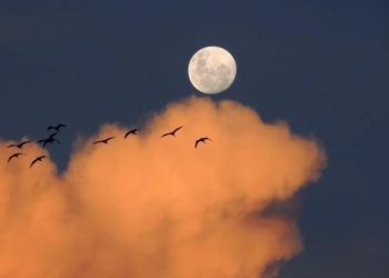 Ученые США рассказали о новой цели NASA на Луне