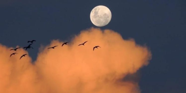 Ученые США рассказали о новой цели NASA на Луне