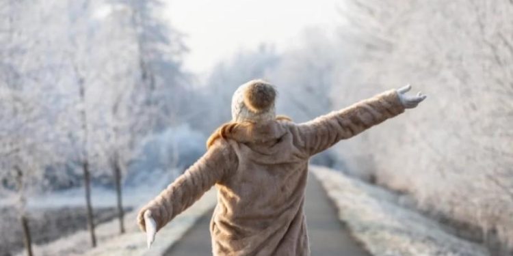 В ногах правда есть. Как пройти 10 000 шагов, не потратив много времени