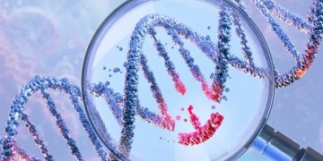 Ваши гены — не игрушка. Врач Кокорина объяснила, стоит ли дарить ДНК-тесты