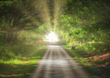 За порогом жизни. Наука так и не смогла объяснить околосмертные переживания