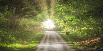 За порогом жизни. Наука так и не смогла объяснить околосмертные переживания