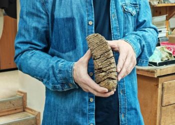 Диета с дефицитом. Стало ясно, почему вымерли мамонты в Сибири