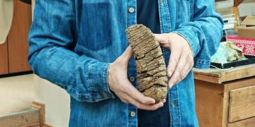 Диета с дефицитом. Стало ясно, почему вымерли мамонты в Сибири