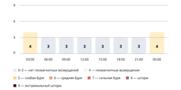 Прогноз магнитных бурь по часам на 18 января 2026 года. Инфографика