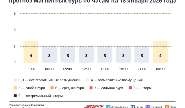 Прогноз магнитных бурь по часам на 18 января 2026 года. Инфографика