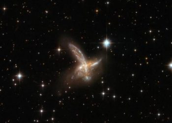 Телескоп Хаббл заснял «птицу» на расстоянии 650 млн световых лет от Земли