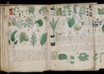 Ученые нашли тайный шифр, который поможет раскрыть древнюю рукопись Войнича