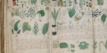 Ученые нашли тайный шифр, который поможет раскрыть древнюю рукопись Войнича