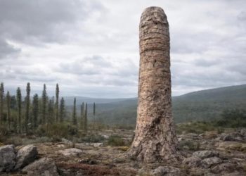 Ученые заявили, что обнаружена новая форма жизни, существовавшая на Земле