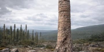 Ученые заявили, что обнаружена новая форма жизни, существовавшая на Земле