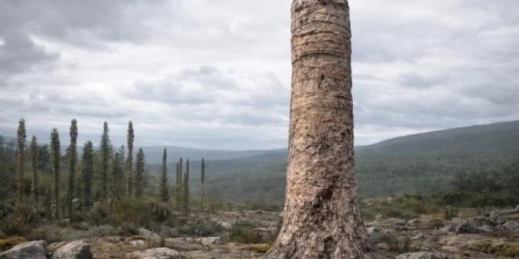 Ученые заявили, что обнаружена новая форма жизни, существовавшая на Земле