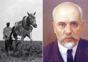 Что ушло в «отвал». Василий Горячкин изменил мир сельского хозяйства