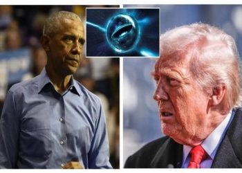 Готовят людей к страшному: власти США раскроют тайны контакта с НЛО