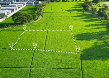 Как правильно составить договор купли-продажи земельного участка