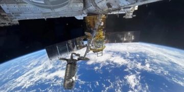 Китайские ученые провели в космосе эксперимент по выведению бабочки