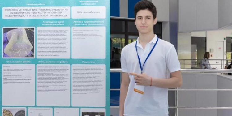 Не только пить. Школьник придумал, как еще можно использовать чайный гриб