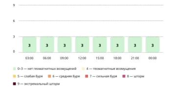 Прогноз магнитных бурь по часам на 25 февраля 2026 года. Инфографика