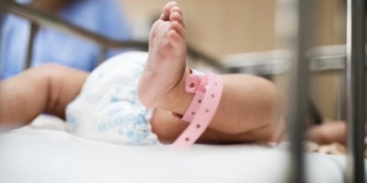 Ученые заявили, что потепление приводит к рождению детей только одного пола