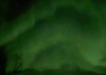 Ученый Бернс заявил, что на Землю обрушилась сумасшедшая буря Аврора