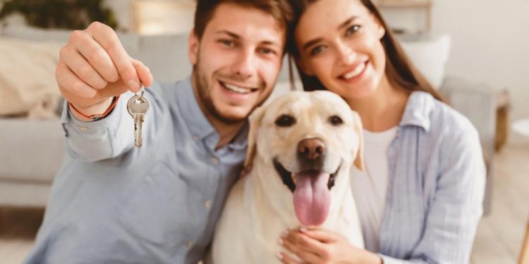 В «Домклик» отметили рекорд по выдаче ипотеки в январе 2026 года