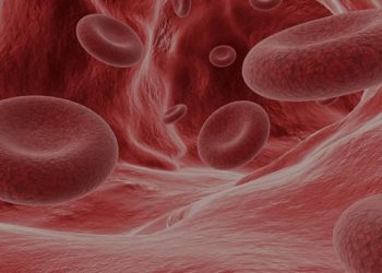 Малокровие (анемия): что это такое, как диагностируется и чем опасно