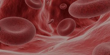 Малокровие (анемия): что это такое, как диагностируется и чем опасно