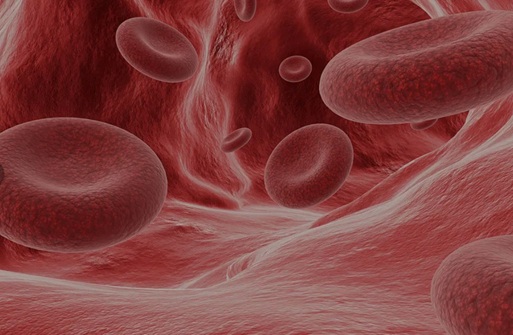 Малокровие (анемия): что это такое, как диагностируется и чем опасно