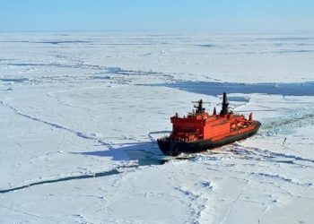 Арктика кричит. В океане раздаются звуки, которые настораживают учёных